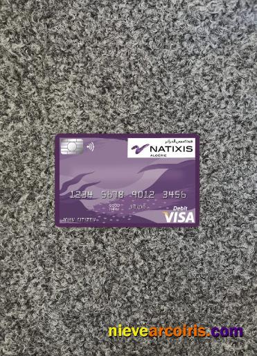 Algeria Natixis algerie bank visa card photolook